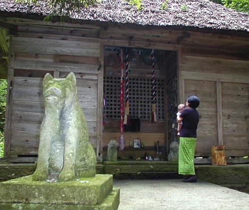 front of dog shrine